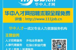 武汉人才招聘官网,汇聚城市精英,助力梦想起航