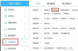 湖南移动网上营业厅详单查询