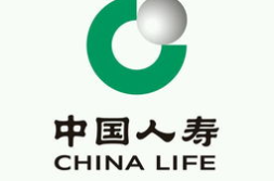 中国人寿保险公司,守护生命,筑梦未来——公司发展概览